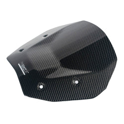 Carbon Headlight Mask